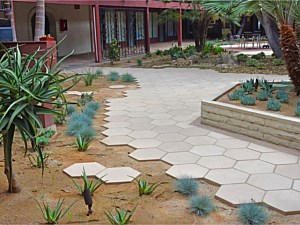 Hexagonal Pavers 10